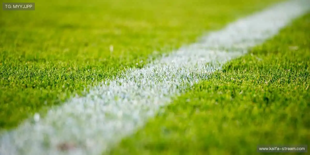 全景电子游戏空间：智能匹配公平对局，新手大神都能尽兴